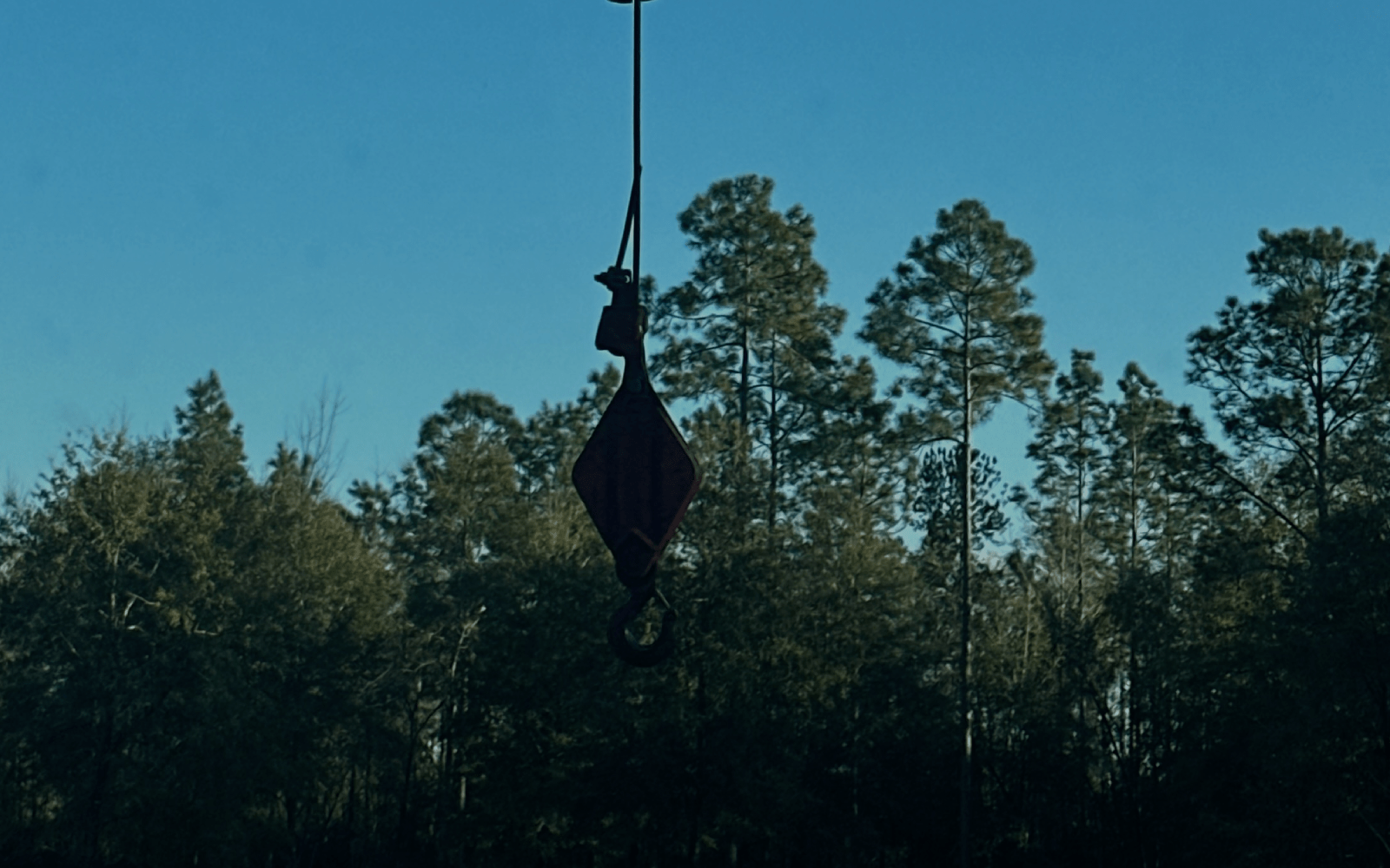 Primary Banner